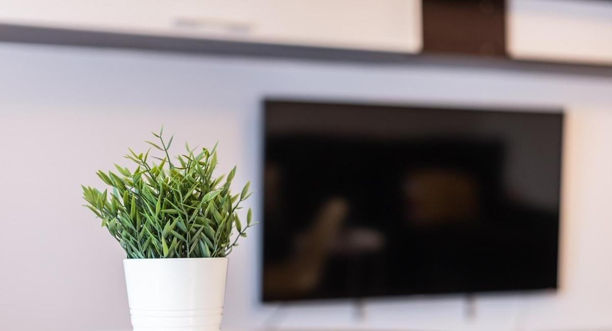 Adaptado Y Comodo Apartamento En Iturrama Pamplona Buitenkant foto